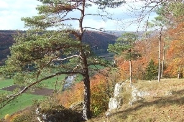 Hotel Zum Blauen Hecht (Kipfenberg)